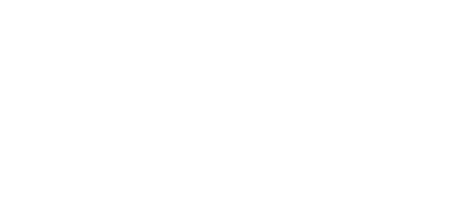 RGM Internacional Group